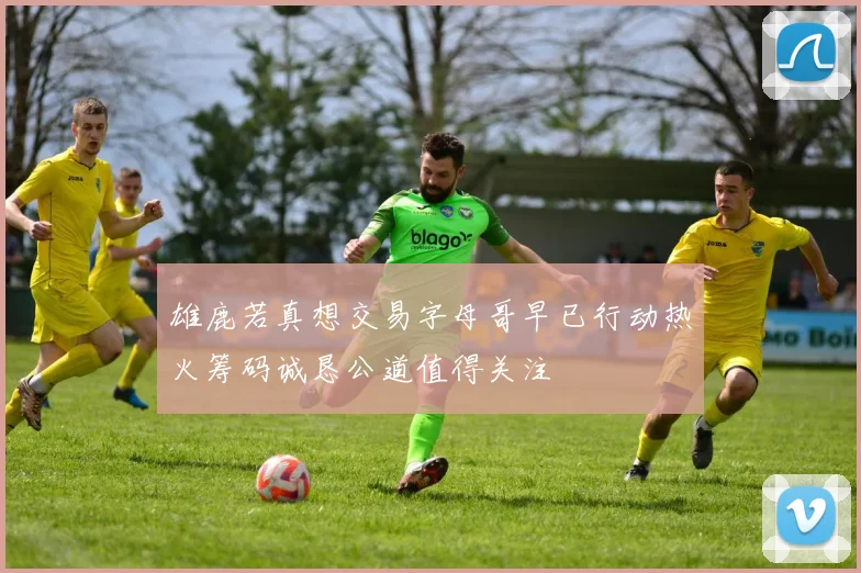 雄鹿若真想交易字母哥早已行动热火筹码诚恳公道值得关注
