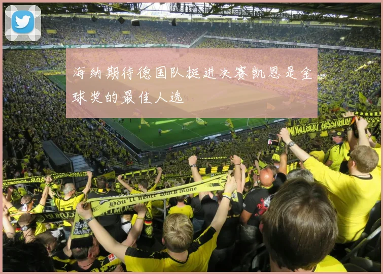 海纳期待德国队挺进决赛凯恩是金球奖的最佳人选